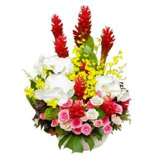 Advance flower vase 12