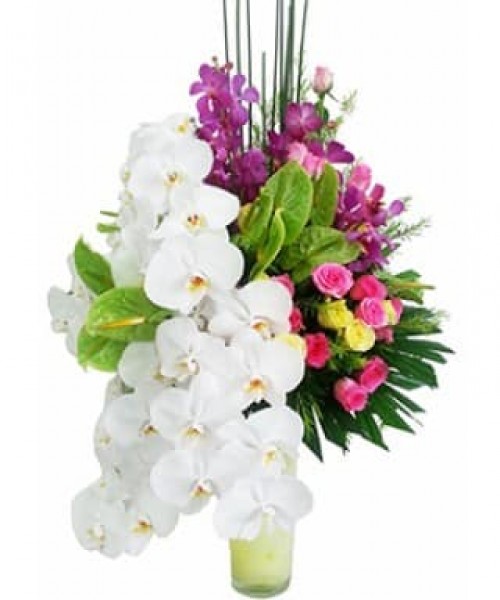 Advance flower vase 14