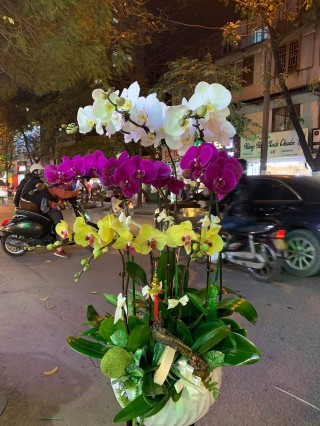 Beautiful Orchid Pots 47