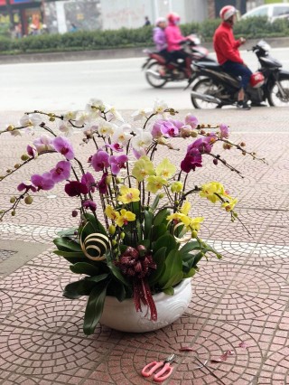 Beautiful Orchid Pots 49