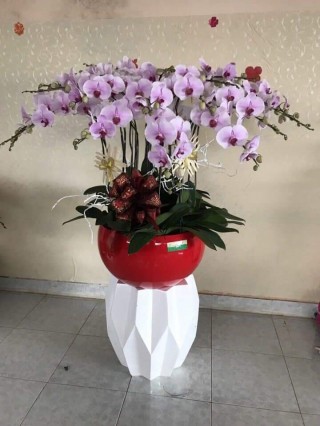 Beautiful Orchid Pots 57