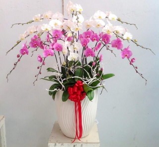 Beautiful Orchid Pots 59