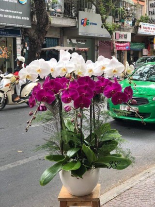 Beautiful Orchid Pots 60