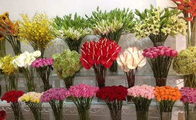 Hai Phong Flowers Delivery Online