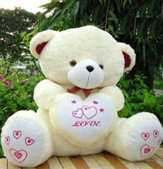 Cute Teddy Bear 01