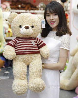Cute Teddy Bear 07