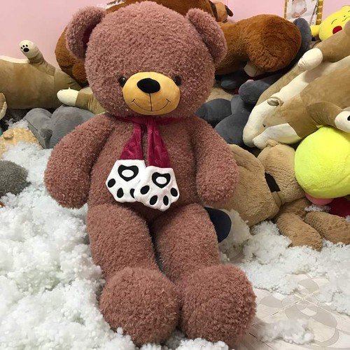 Cute Teddy Bear 16
