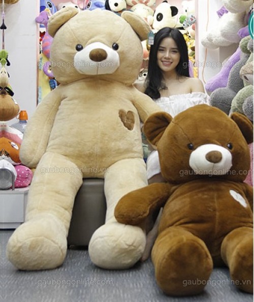 Cute Teddy Bear 26