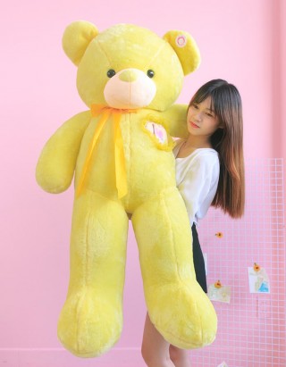 Cute Teddy Bear 27