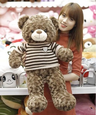 Cute Teddy Bear 31