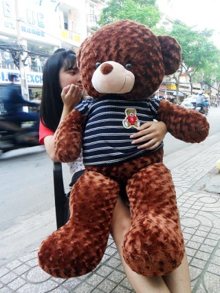 Cute Teddy Bear 33