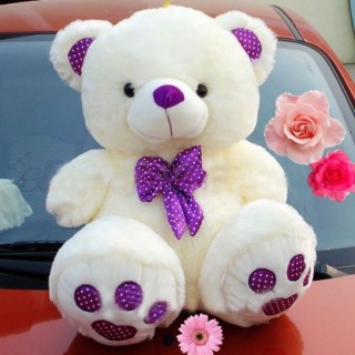 Cute Teddy Bear 35