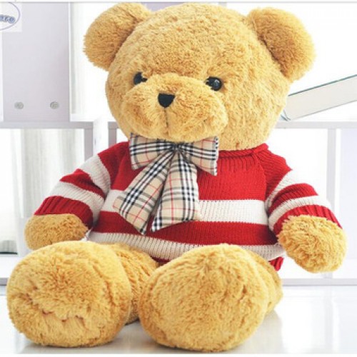 Cute Teddy Bear 36