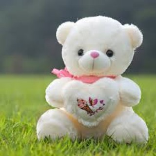 Cute Teddy Bear 37
