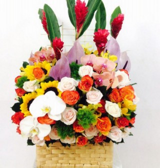 Advanced flower basket 17