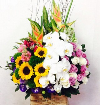 Advanced flower basket 19