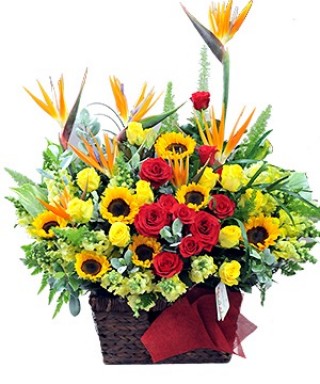 Advanced flower basket 23