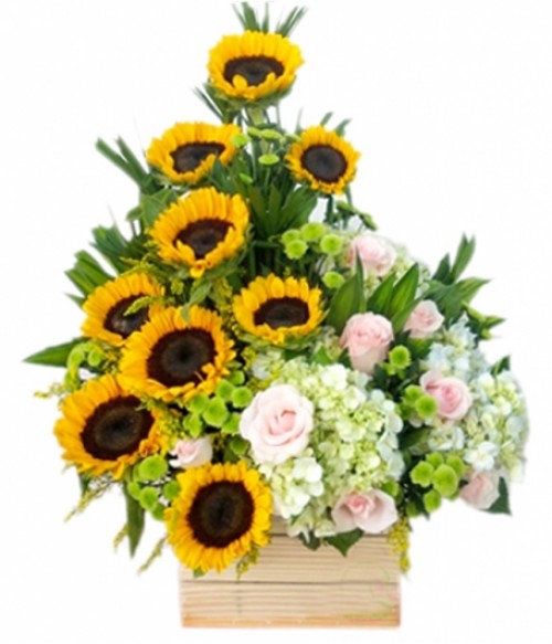 Luxurious Flower Box 07