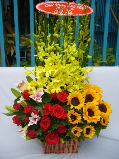 Hai Phong Flowers