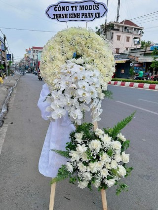 Condolence Fresh Flowers 91