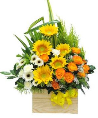 Advance flower box 06