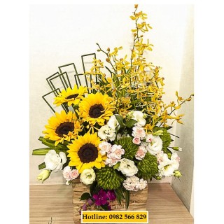 Advance flower box 11