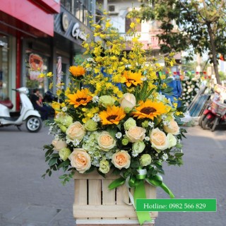 Advance flower box 16