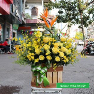 Advance flower box 20