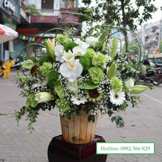 Advance flower box 24