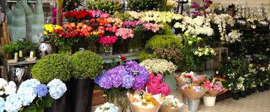 Binh Duong Flowers Shop