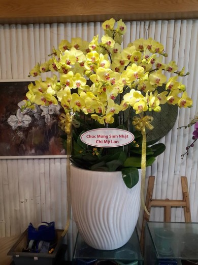 Shop hoa Hải Phòng bán kệ hoa đẹp mừng lễ khai giảng năm học mới