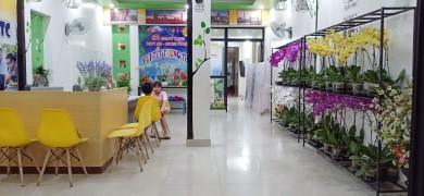 Shop Hoa Tươi Khu Đô Thị PG An Đồng