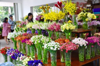 Fresh Flower Shop in Binh Duong