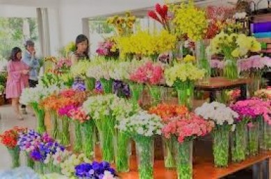 Fresh Flower Shop VINCOM LE THAN TONG Hai Phong